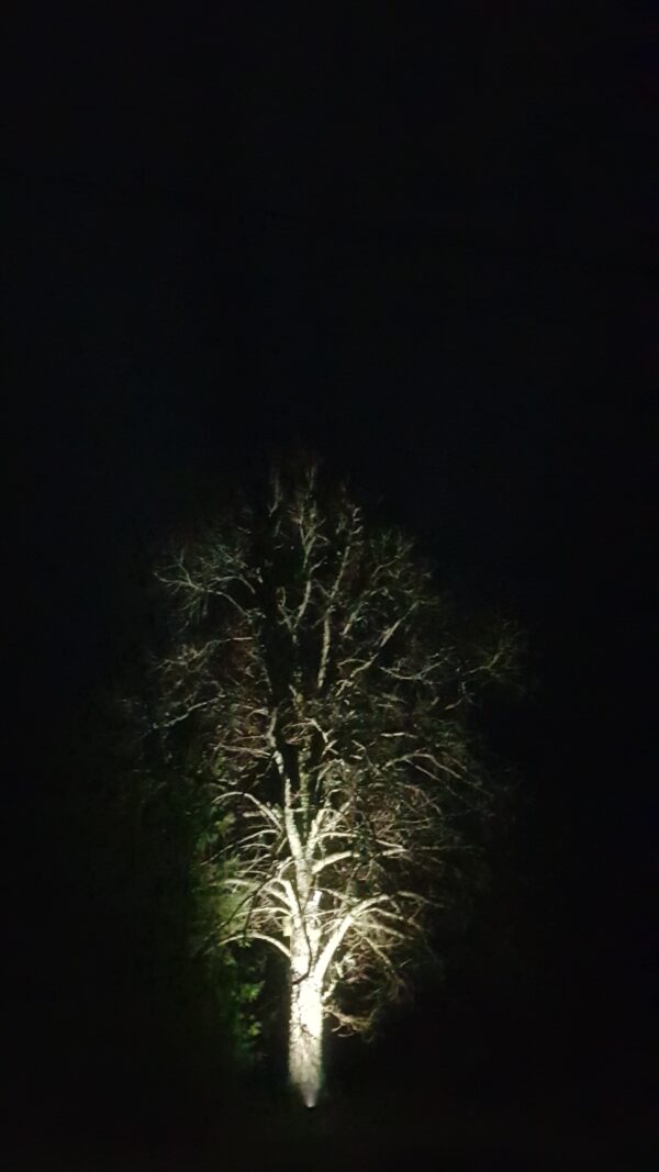 GRUS LED - Image 8